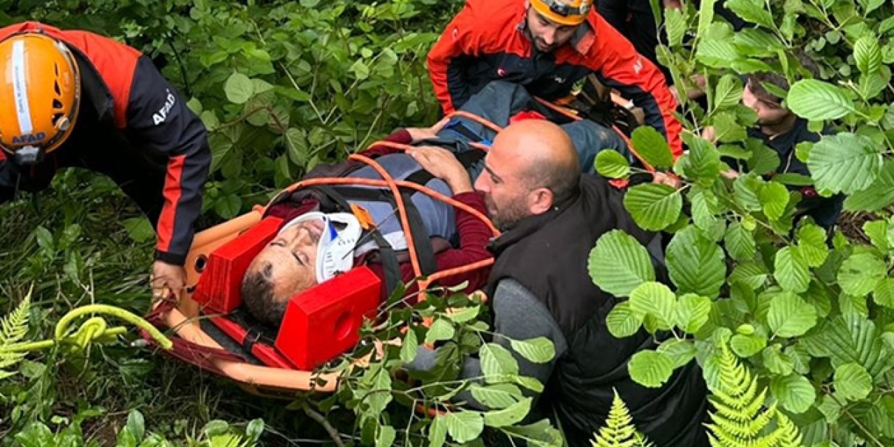Rize'de çay hasadı yaparken ölümden döndü! Uçurumdan yuvarlanan vatandaş yaralandı