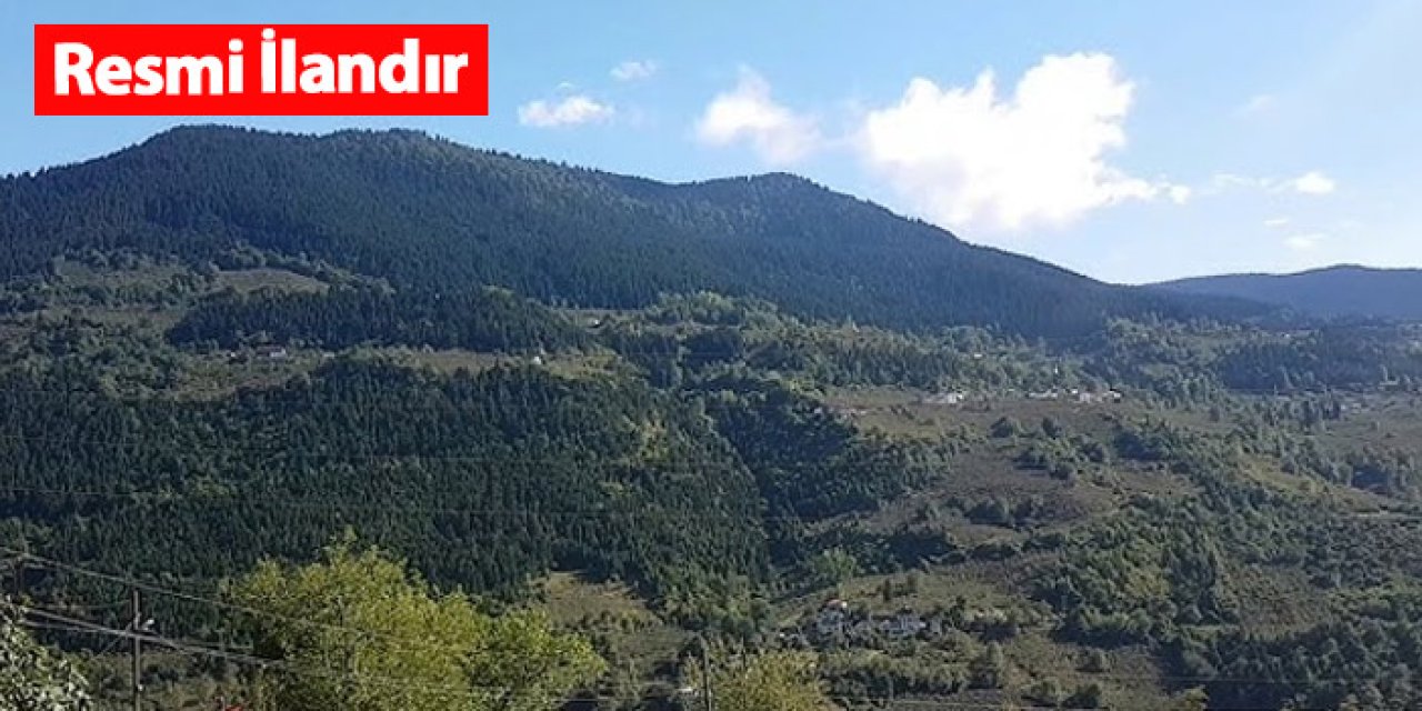 Maçka'da taşınmaz satışı