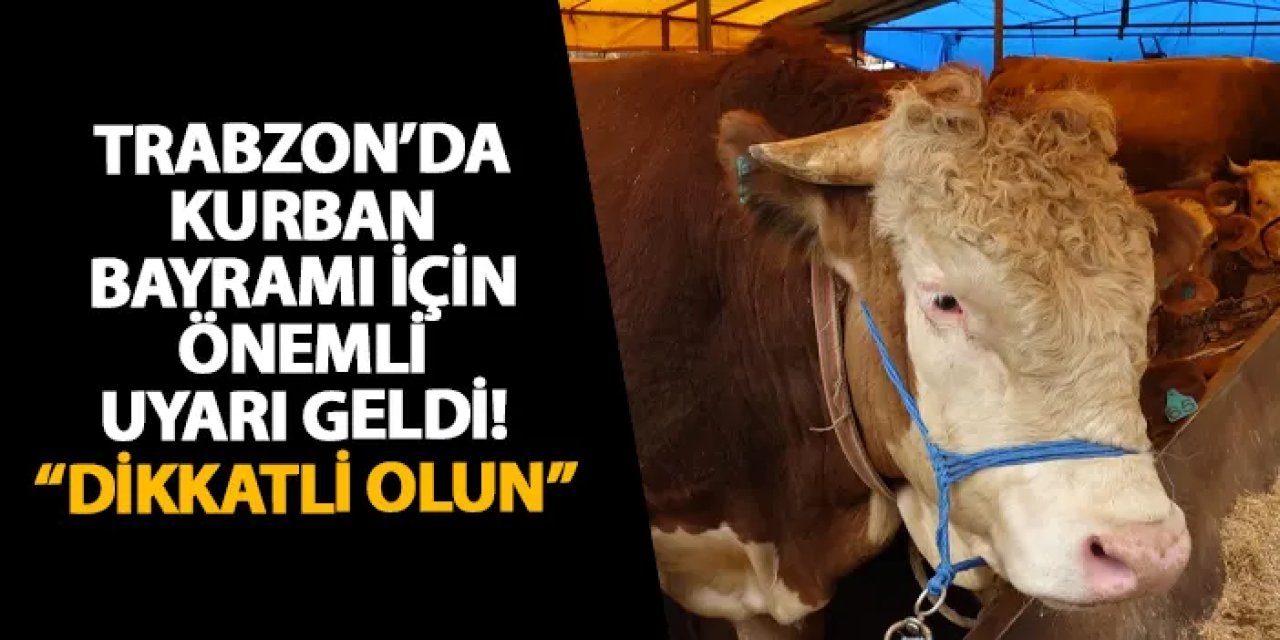 Trabzon’da Kurban Bayramı için önemli uyarı geldi! “Dikkatli olun”