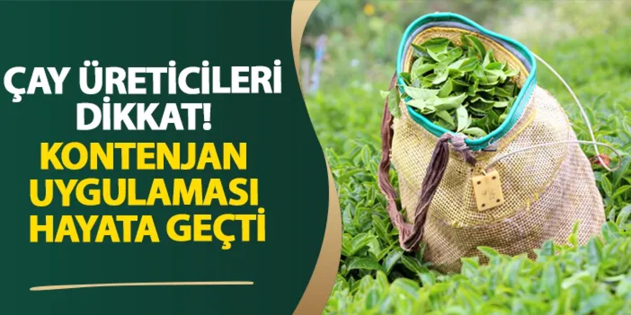 Çay üreticileri dikkat! Kontenjan uygulaması hayata geçti