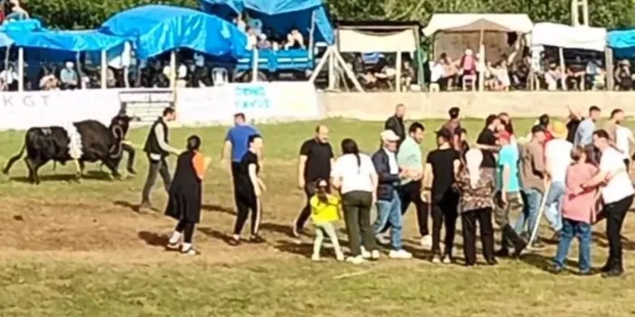 Artvin’de horon oynarken şoku yaşadılar! Herkes bir anda kaçmaya başladı