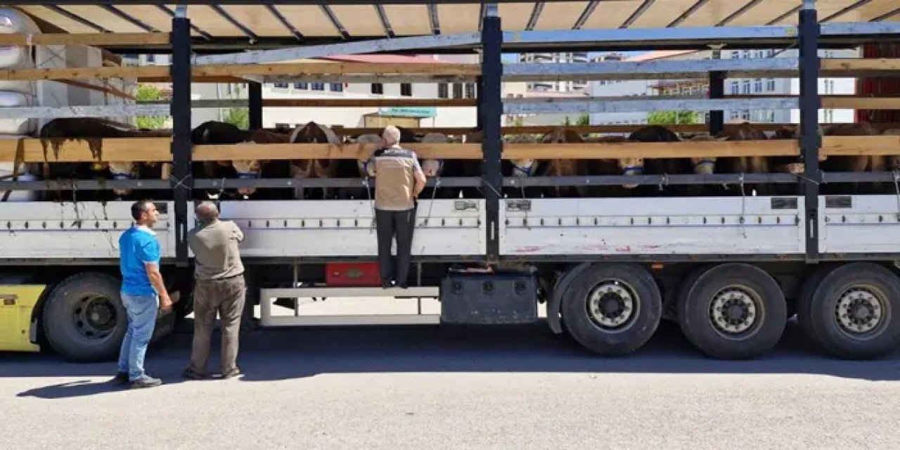 Bayburt’ta kurban sevki sıkı denetim altında