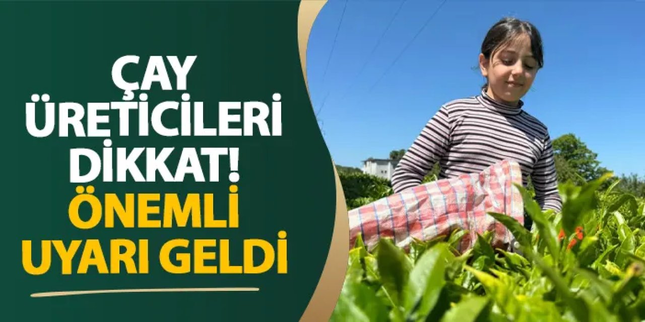 Çay üreticileri dikkat! Önemli uyarı geldi