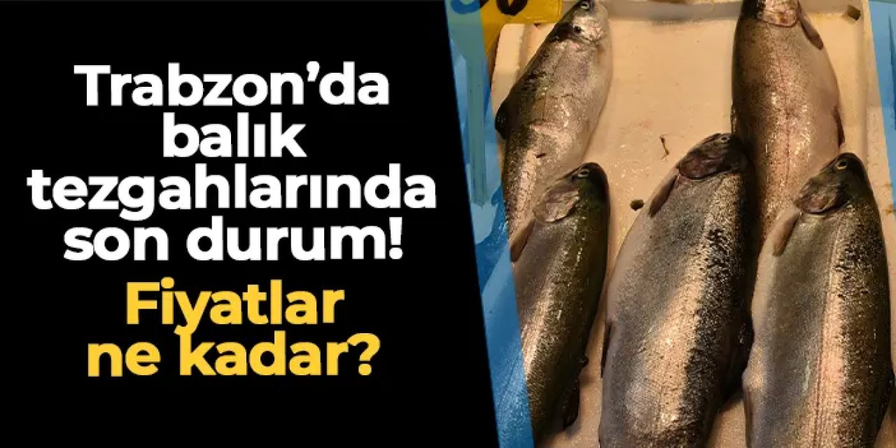 Trabzon'da balık tezgahlarında son durum! Fiyatlar ne kadar?