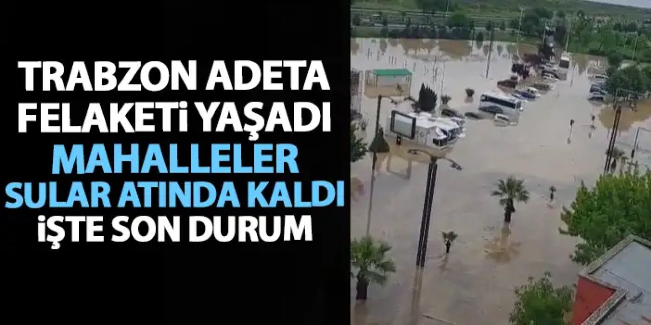 Trabzon adeta felaketi yaşadı! Mahallenin yarısı sular altında kaldı