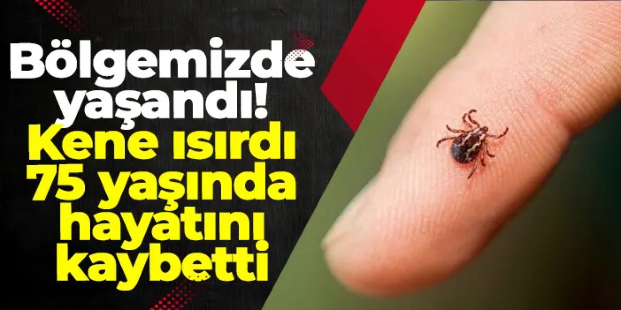 Gümüşhane’de kene can aldı: 75 yaşında hayatını kaybetti