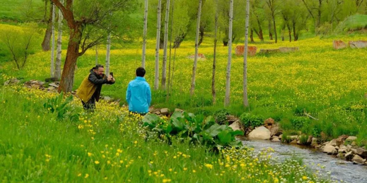 Gümüşhane’de sarı çiçekler eşsiz manzara sunmaya başladı!