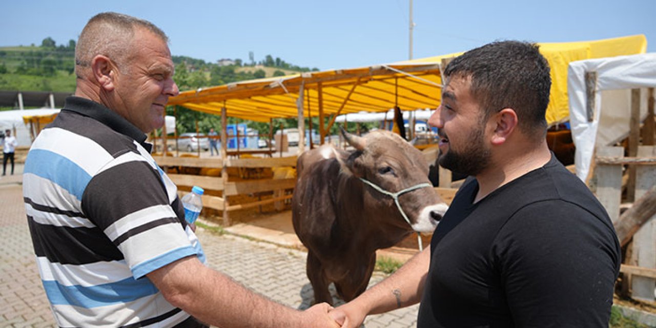 Hayvanlar elde kalmadı! Samsun'da kurban pazarında yüzler gülüyor