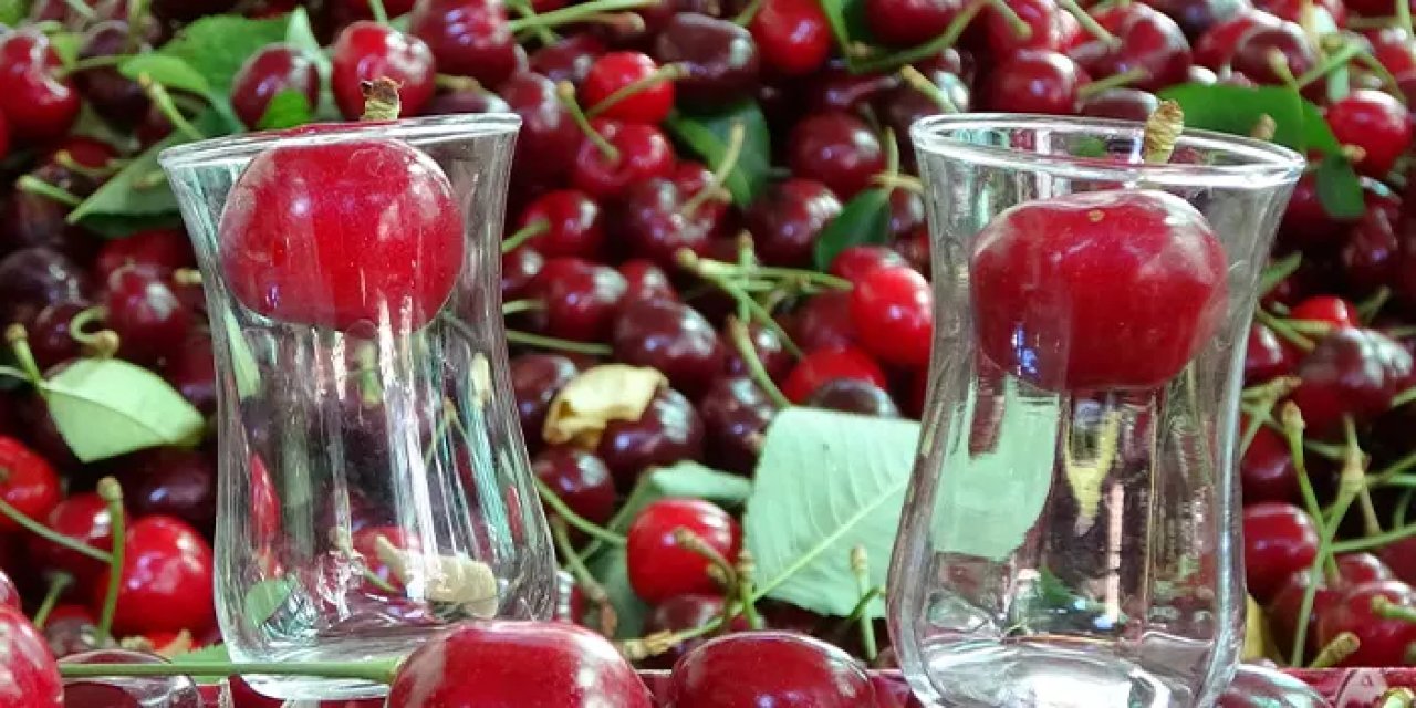 Çanakale'de çay bardağı kadar kiraz! Hasat başladı