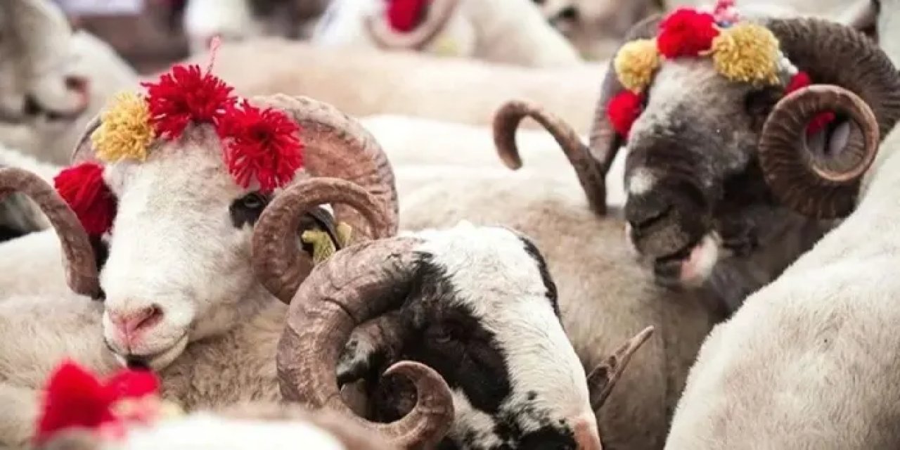 Kurban Bayramı ne zaman bitiyor? Bugün kaçıncı gün? Kaç gün sürüyor?