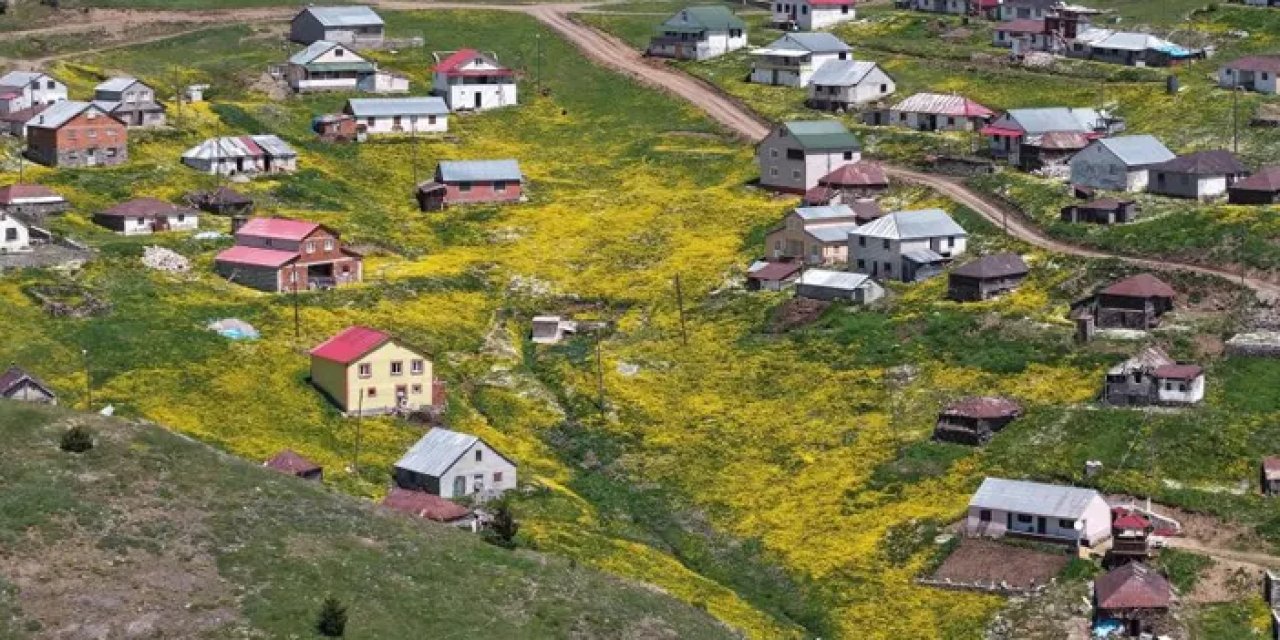 Gümüşhane’ye 3 bin kilometre uzaktan gelip tanıtımını yapıyor!