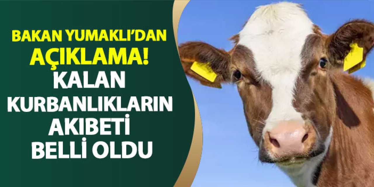 Bakan Yumaklı’dan açıklama! Kalan kurbanlıkların akıbeti belli oldu