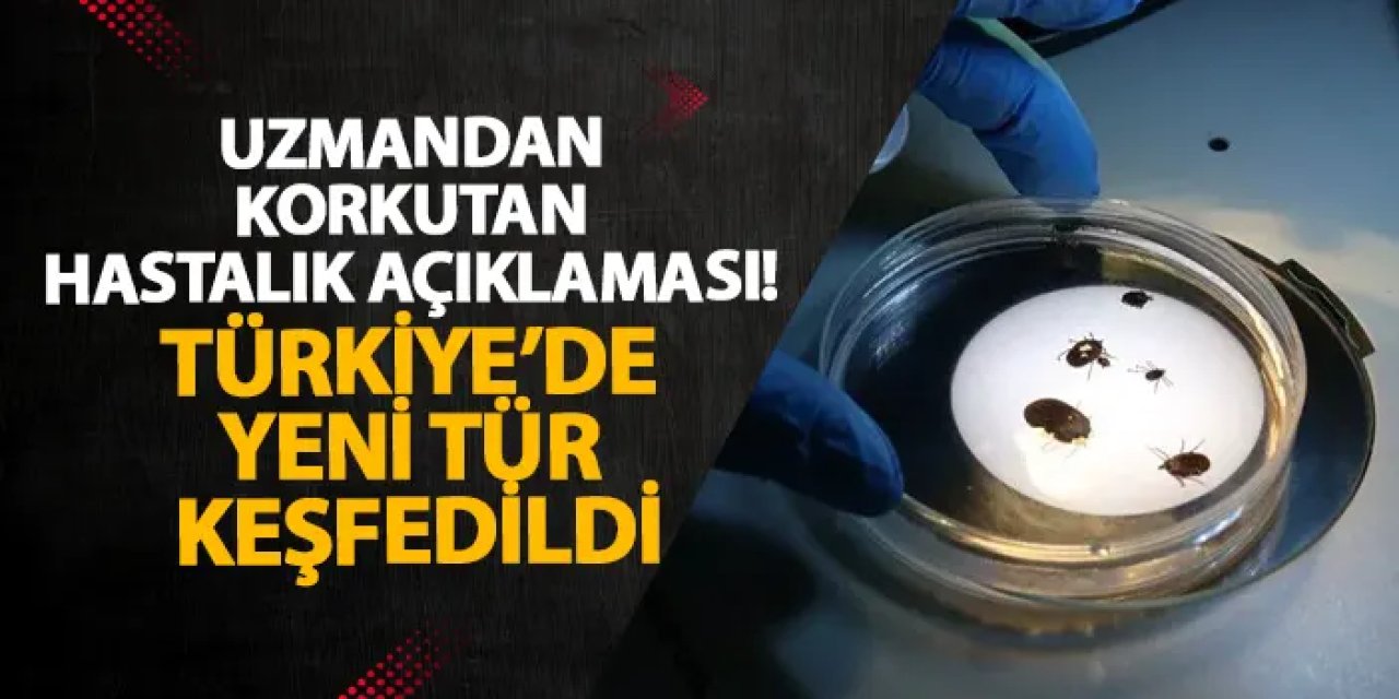 Uzmandan korkutan hastalık açıklaması! Türkiye’de yeni tür keşfedildi