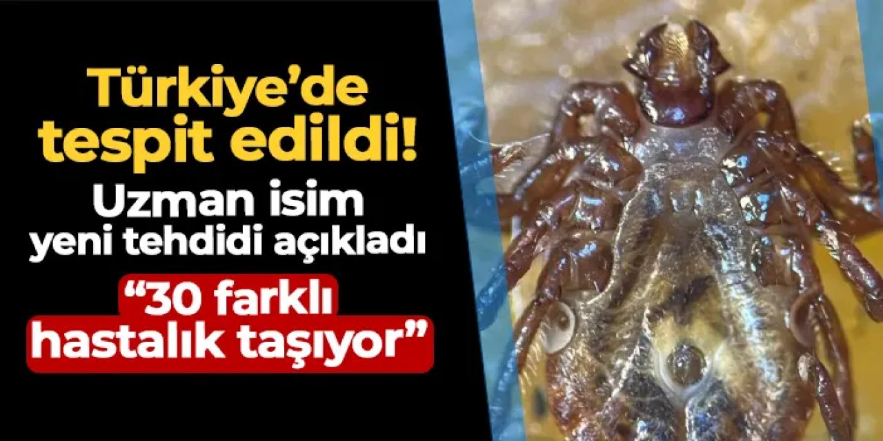 Çin'den geldi, Türkiye'ye yerleşti! 30 farklı hastalık taşıyor
