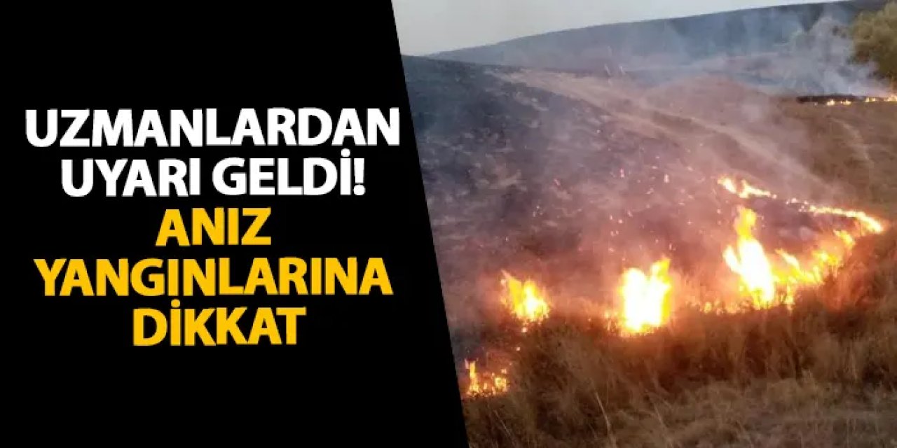 Uzmanlardan uyarı geldi! Anız yangınlarına dikkat
