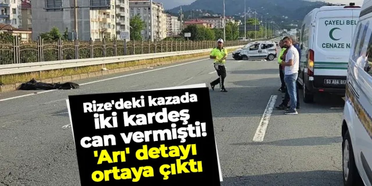Rize'deki kazada iki kardeş can vermişti! 'Arı' detayı ortaya çıktı