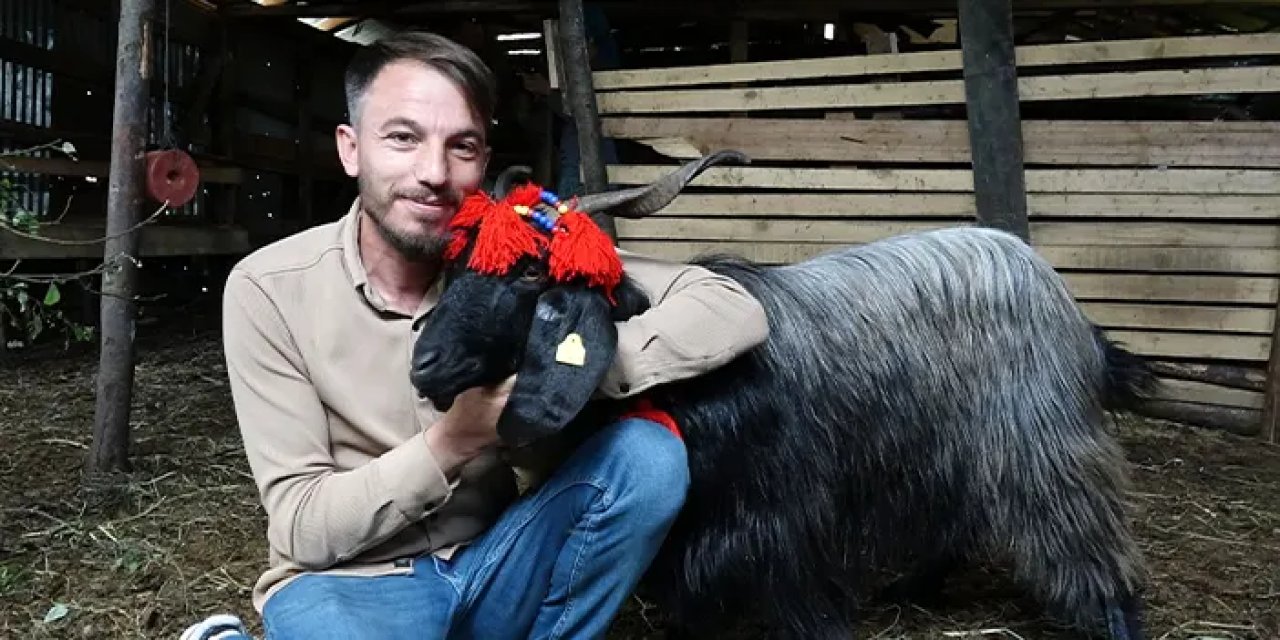 Trabzon'da keçinin film gibi kaçış  hikayesi: 18 gün sonra bulundu, sahibinin en iyi dostu oldu