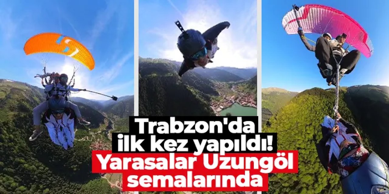 Trabzon'da ilk kez yapıldı! Yarasalar Uzungöl semalarında
