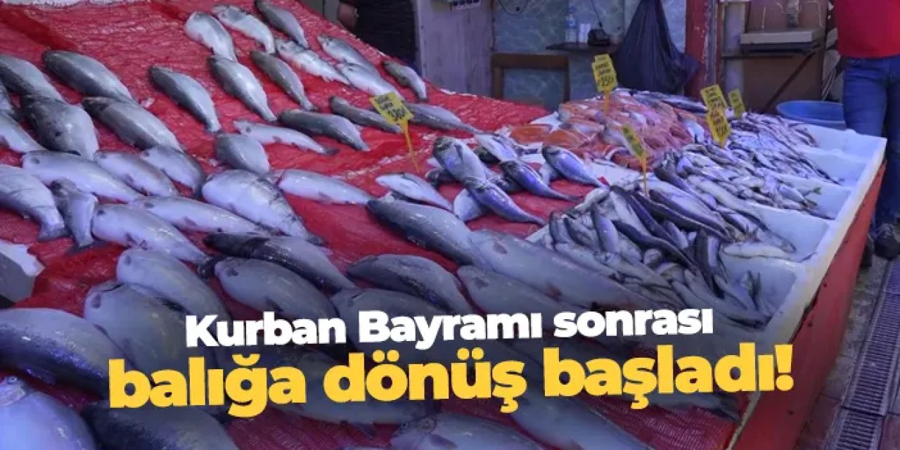 Kurban Bayramı bitti: Balığa dönüş başladı