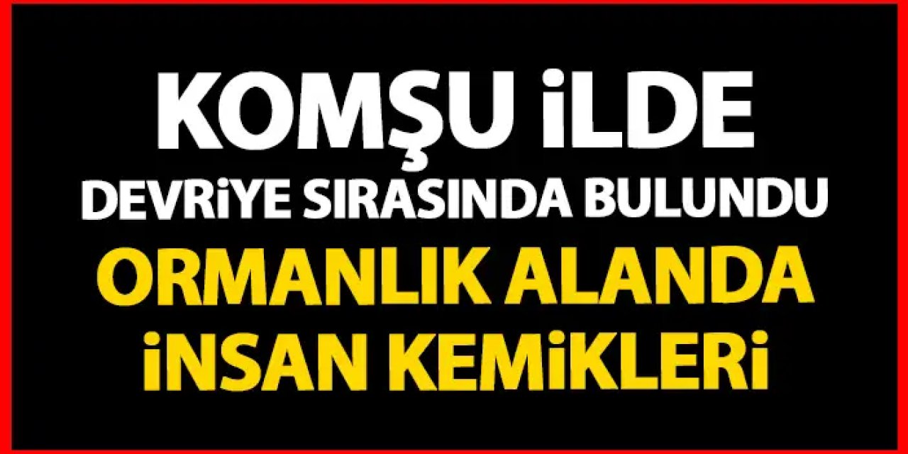 Giresunda dehşet veren olay! Ormanlık alanda insan kemikleri!