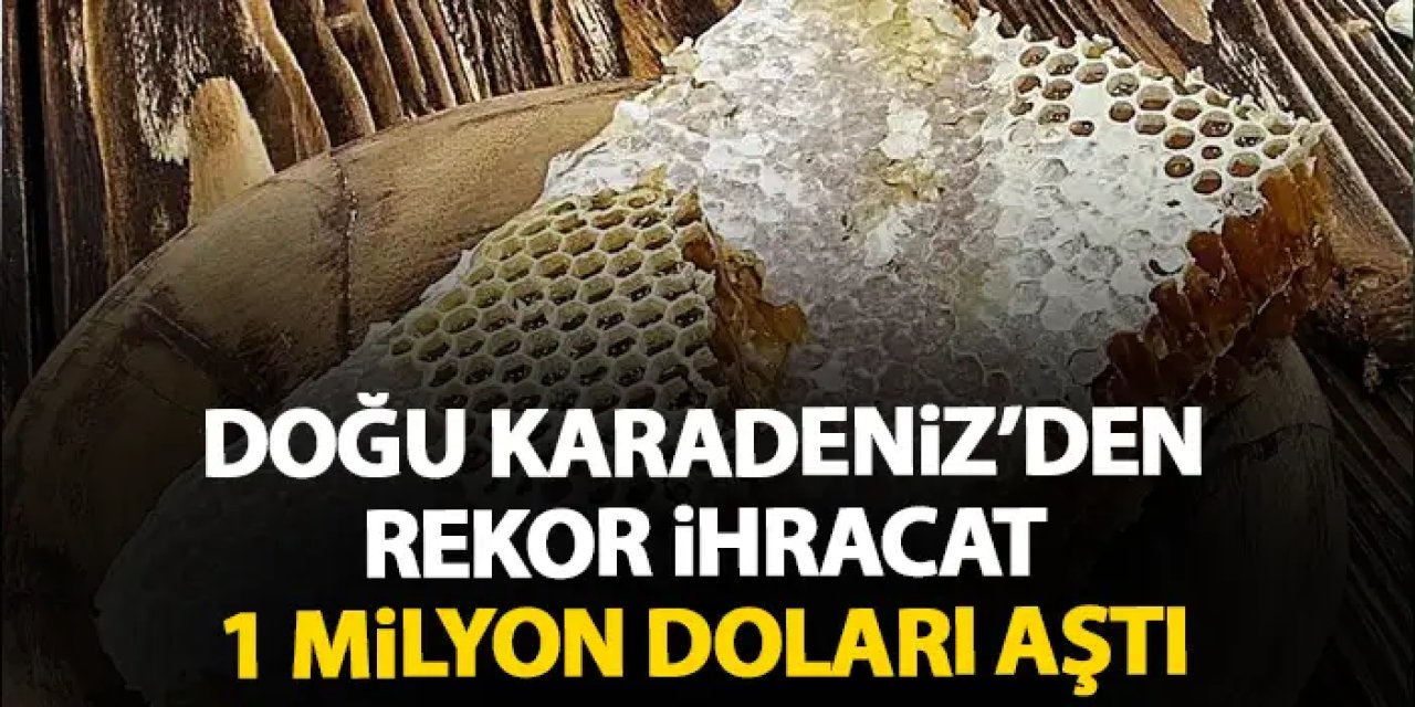Doğu Karadeniz'de 2025 yılında 1 Milyon Dolarlık bal ihracatı!