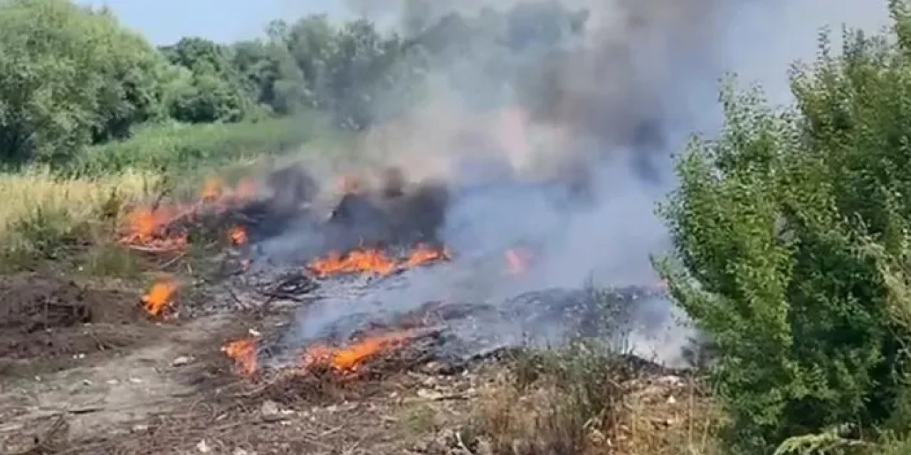 Samsun’da yangın paniği! Otluk alan alevler içinde kaldı