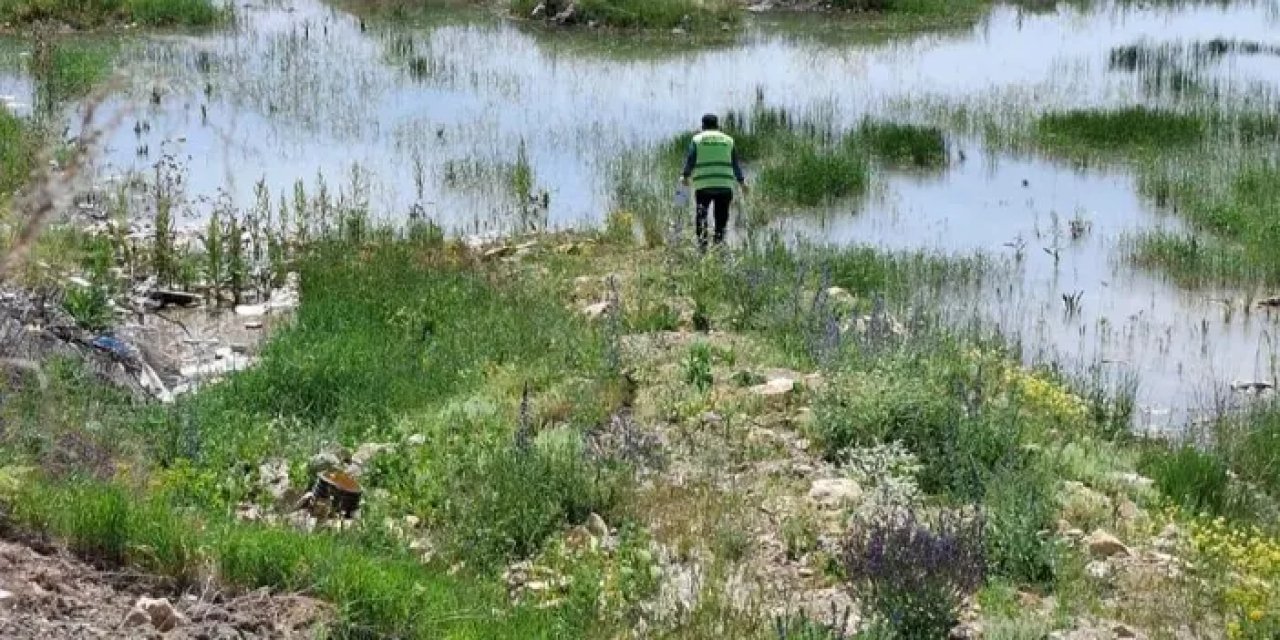 Bayburt’ta böceklere karşı çalışma başlatıldı