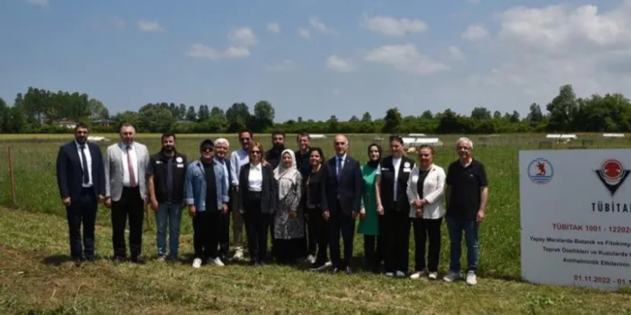 Samsun’da yapak mera ile yem verimliliği yükseltilecek