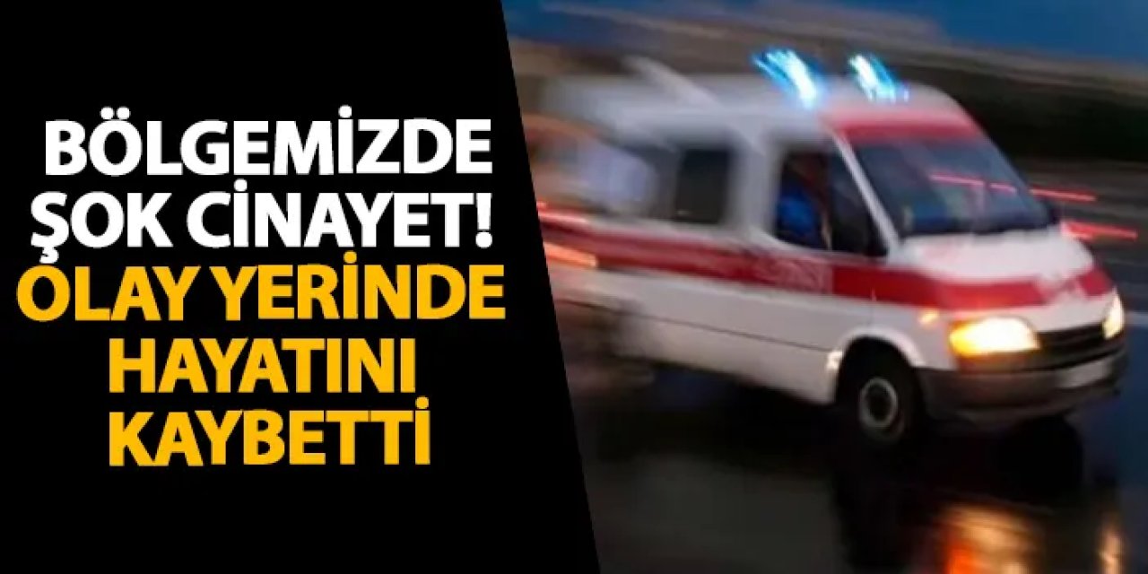 Ordu’da şok cinayet! Olay yerinde hayatını kaybetti