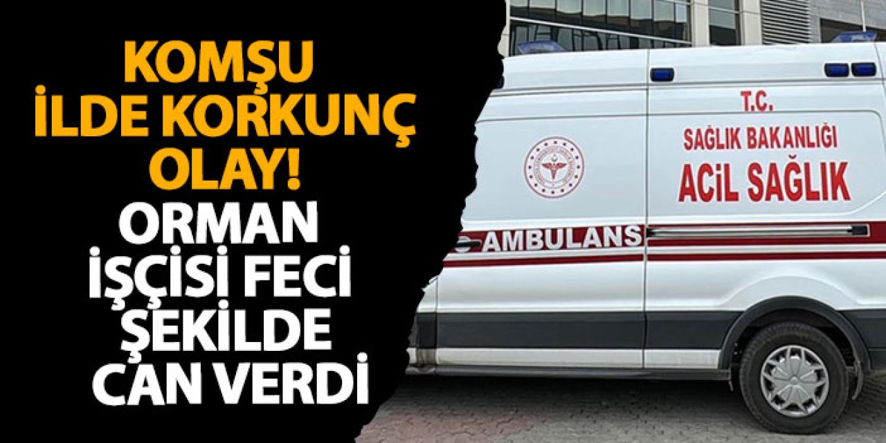 Gümüşhane'de korkunç olay! Orman işçisi feci şekilde can verdi