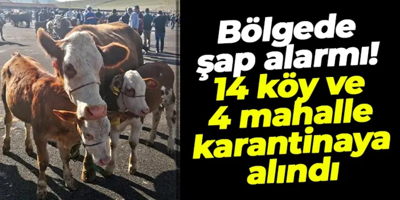 Bayburt’ta şap alarmı: 14 köy ve 4 mahalle karantinaya alındı