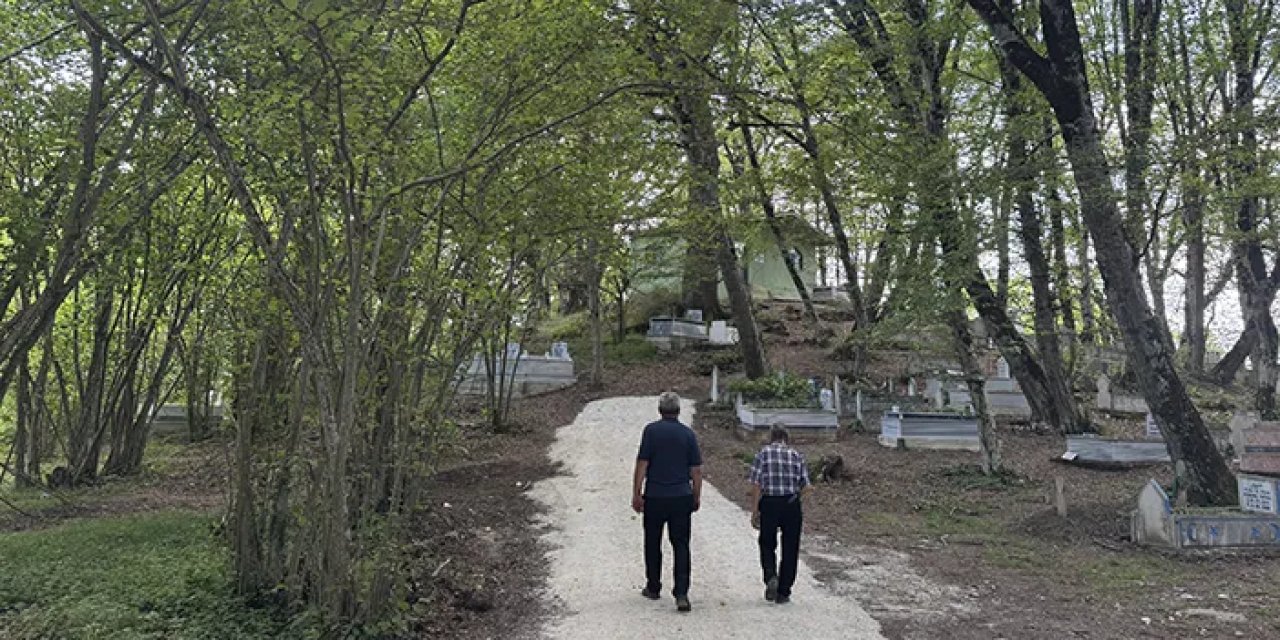 Karadeniz'de bu ormandan dal almak bile uğursuzluk sayılıyor