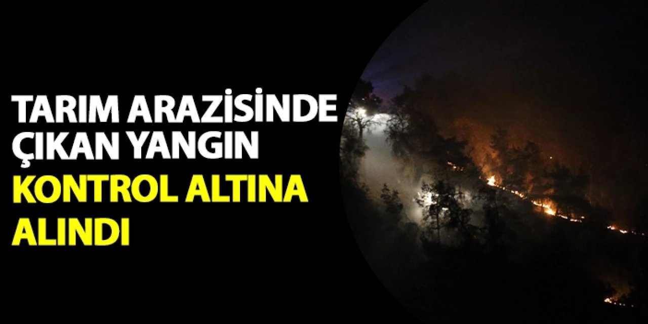 Çanakkale'de tarım arazisinde çıkan yangın kontrol altına alındı
