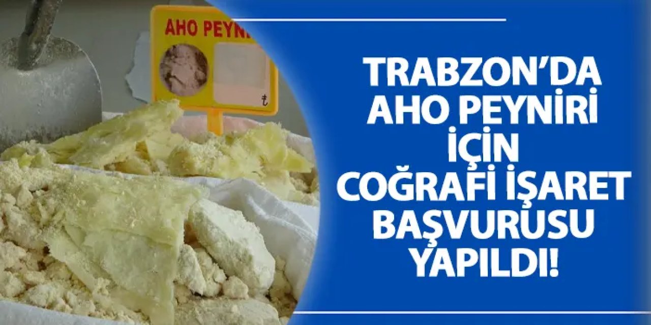 Trabzon’da Aho peyniri için coğrafi işaret başvurusu yapıldı!