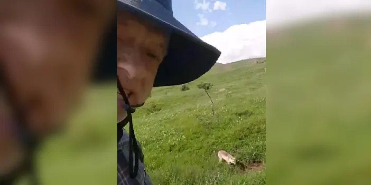 Gümüşhane’de mantar toplamaya çıkan adam tilkiyle dost oldu!
