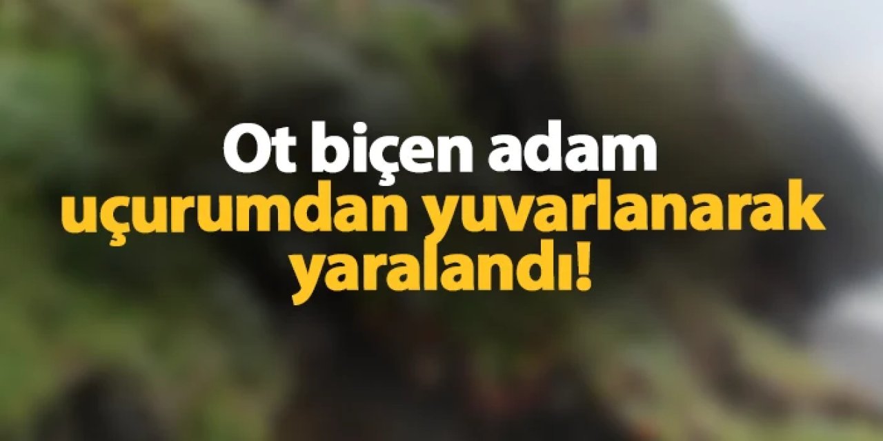 Giresun'da ot biçen adam uçurumdan yuvarlanarak yaralandı