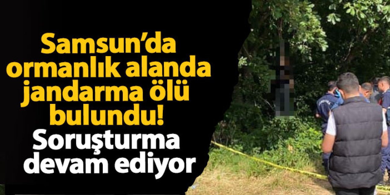 Samsun’da ormanlık alanda jandarma ölü bulundu! Soruşturma devam ediyor