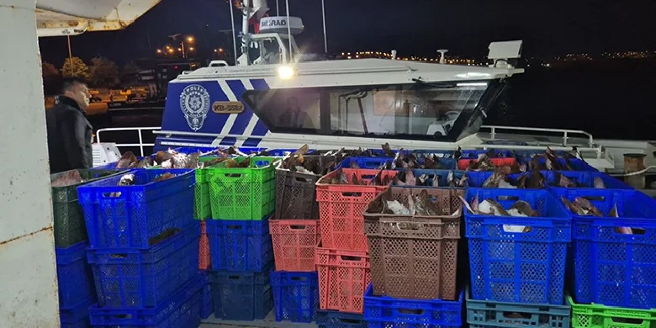 Samsun'da yasağa aldırış etmeden tam 6 ton yakalamışlar!