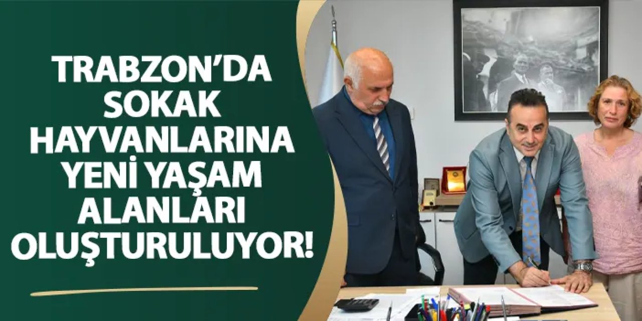 Trabzon’da sokak hayvanlarına yeni yaşam alanları oluşturuluyor!