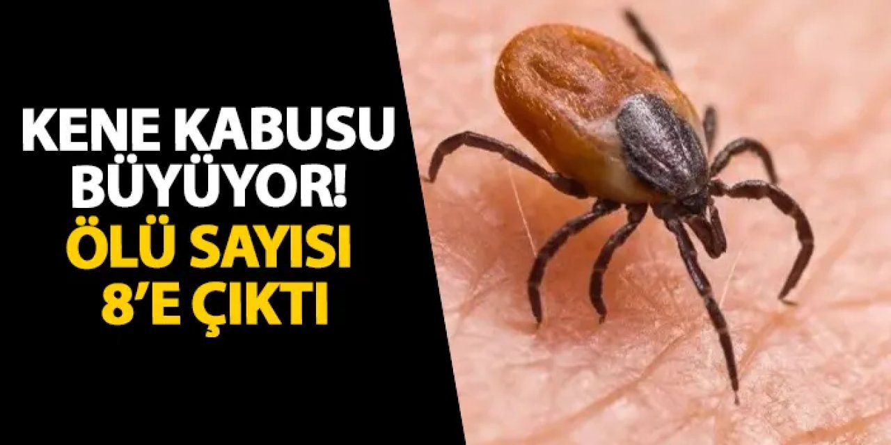 Kene kabusu büyüyor! Ölü sayısı 8’e çıktı