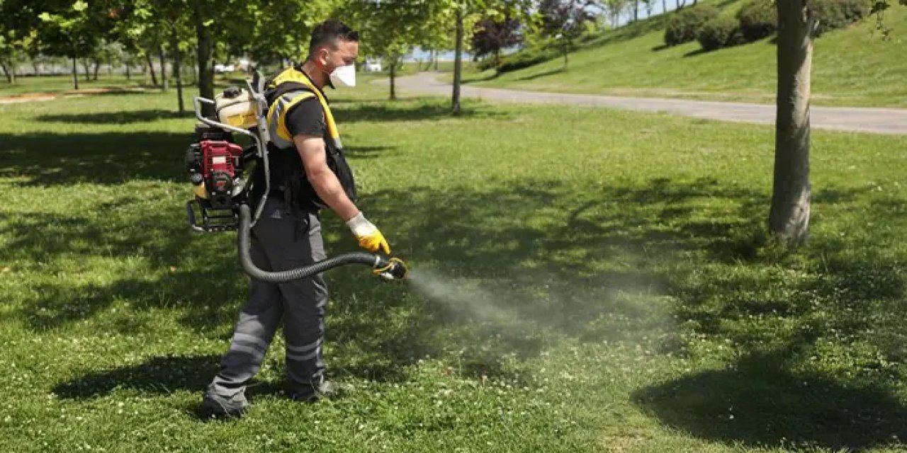 Samsun’da kene alarmı! 25 ekiple, 327 parkta ilaçlama