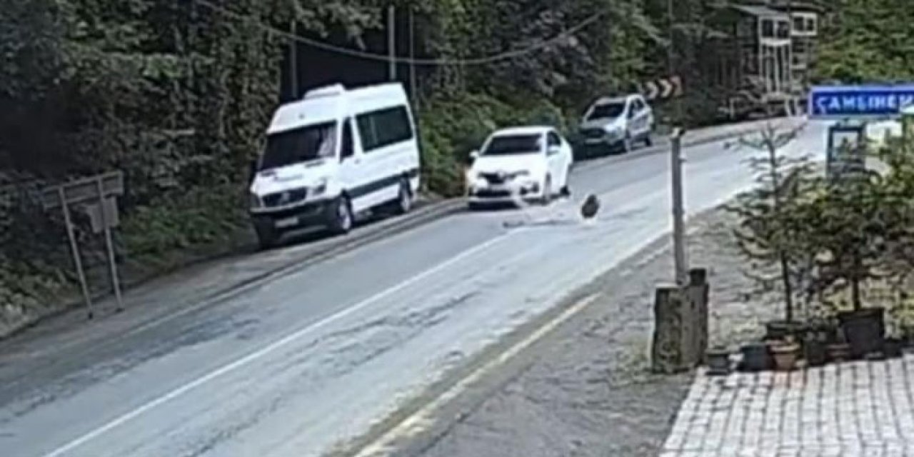 Rize’de facianın eşiğinden dönüldü! Kaya parçası otomobilin önüne düştü