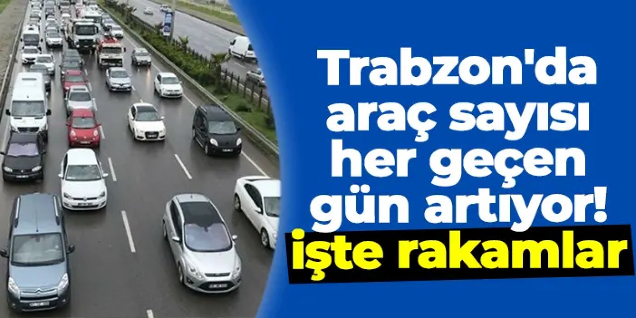 Trabzon'da araç sayısı her geçen gün artıyor! İşte rakamlar