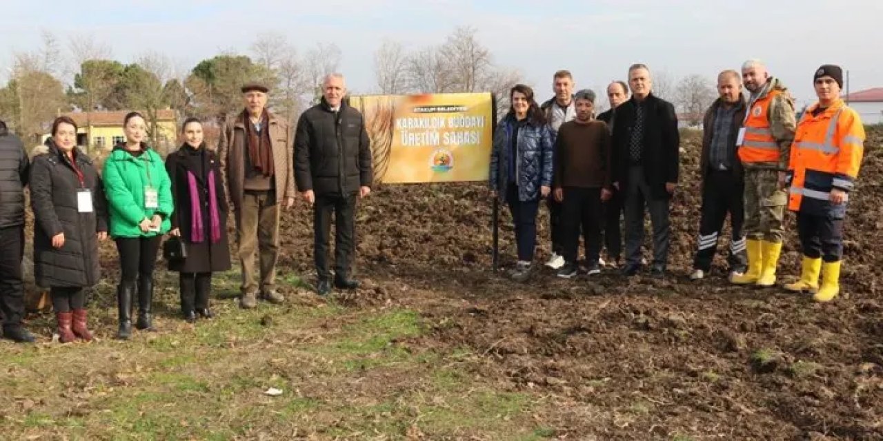 Samsun’da hayvancılık yapan ailelere yem bitkisi desteği!