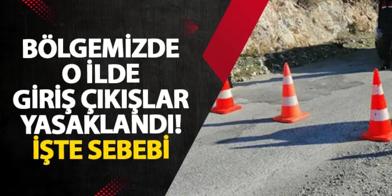 Samsun’da orman yangınlarına karşı önlem! Ormanlık alanlara giriş yasaklandı