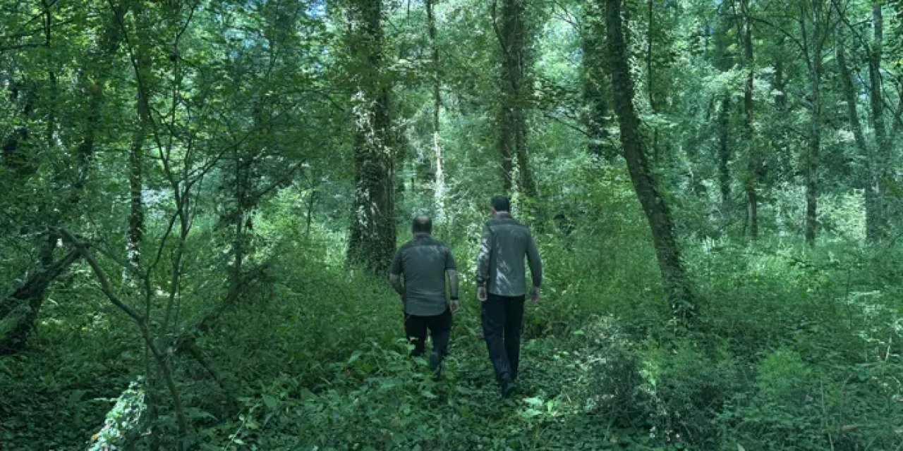 Samsun’da bu ormanda bilimsel çalışmalara izin veriliyor!