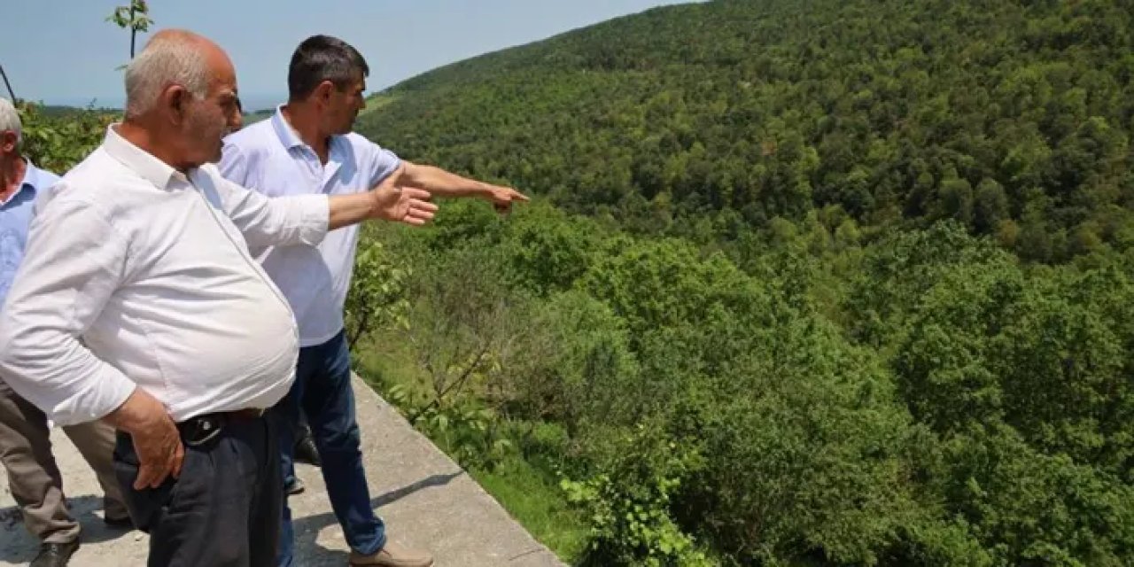 Samsun’da izinsiz köpek barınağı mühürlendi!