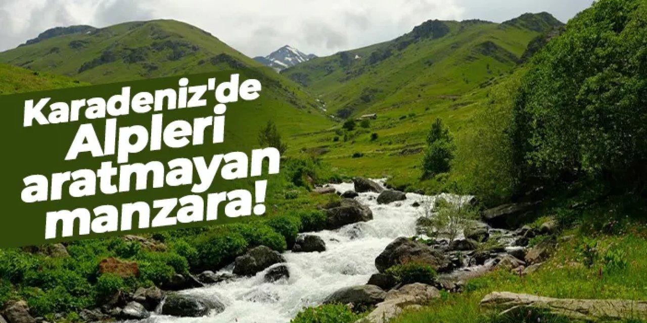 Karadeniz'de Alpleri aratmayan manzara: Dulağa Yaylası