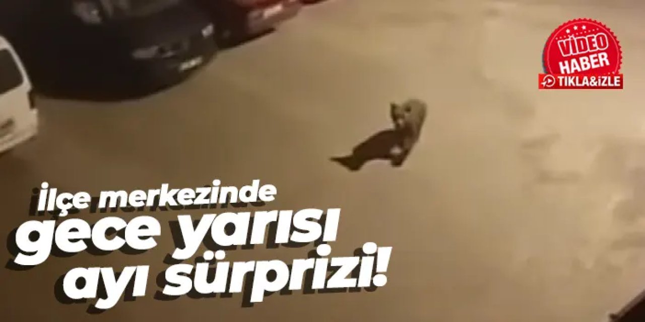 Artvin ilçe merkezinde gece yarısı ayı sürprizi!
