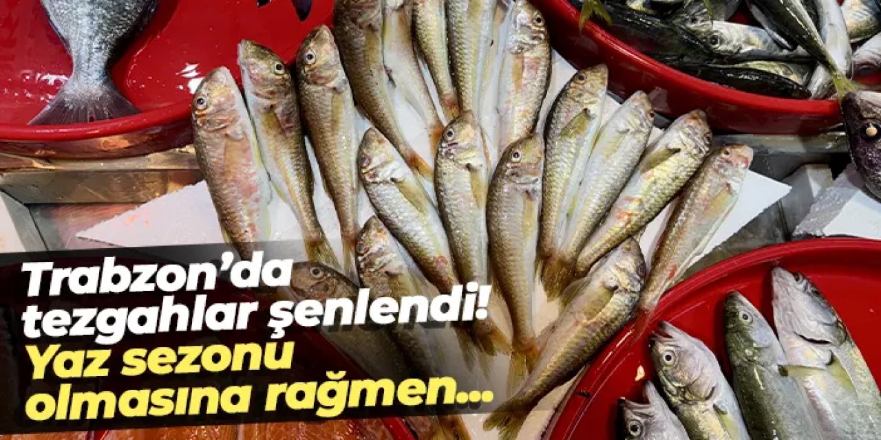 Trabzon’da tezgahlar şenlendi! Yaz sezonunda balık bolluğu